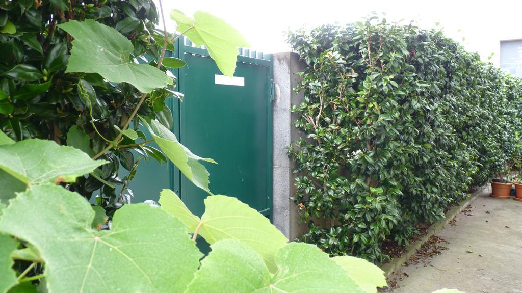 Azores Holidays House -B&B - Suites - Self Check-In Keyboard Ponta Delgada Dış mekan fotoğraf